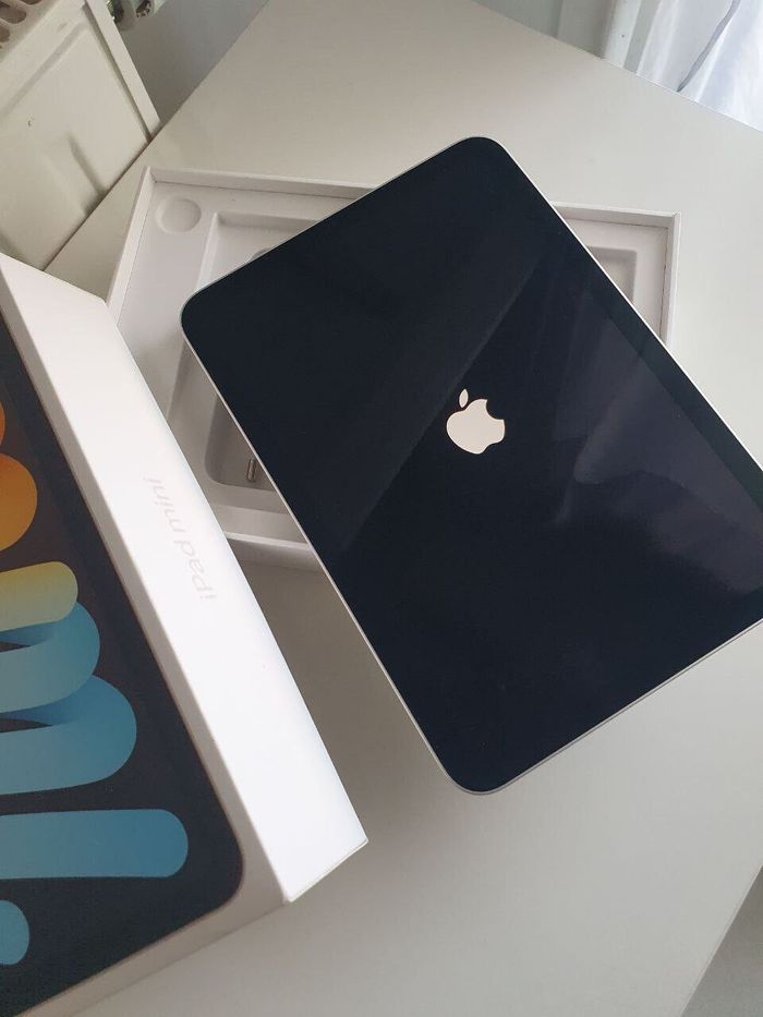 Apple iPad Mini 6 - photo numéro 7