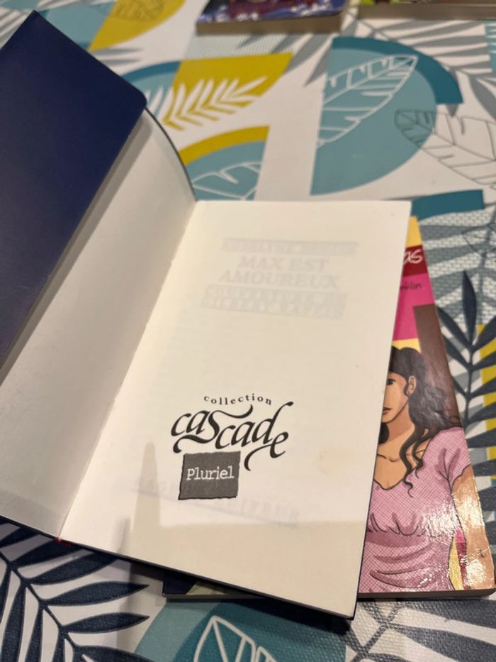 Livre ado et pré ado - photo numéro 13