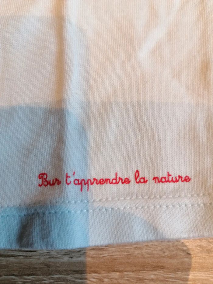 T-shirt 6mois - photo numéro 4