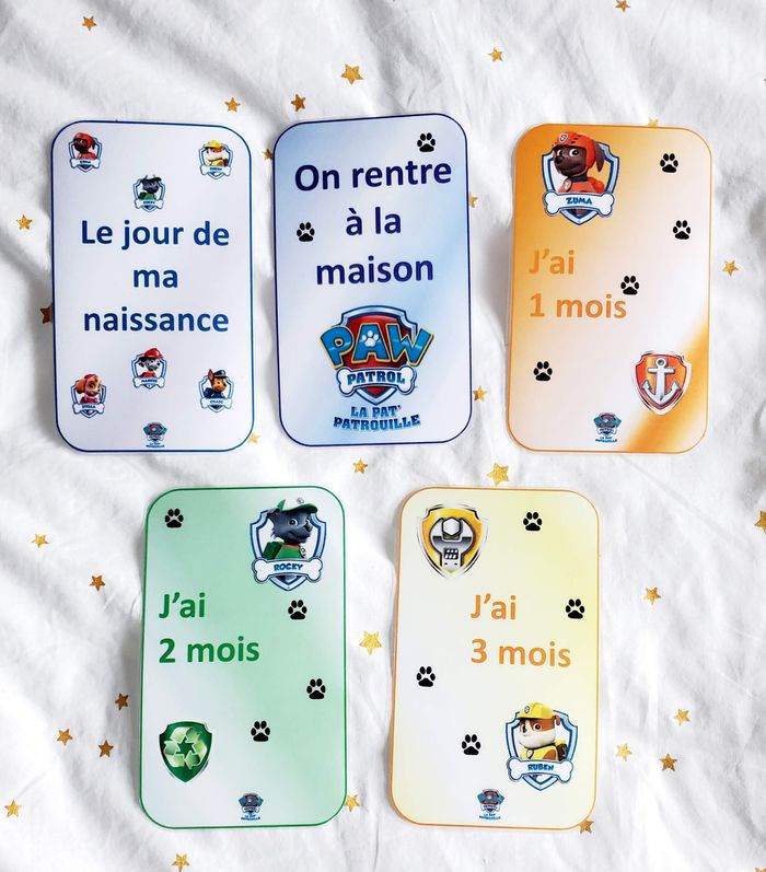 Cartes étape - Pat' Patrouille - photo numéro 2