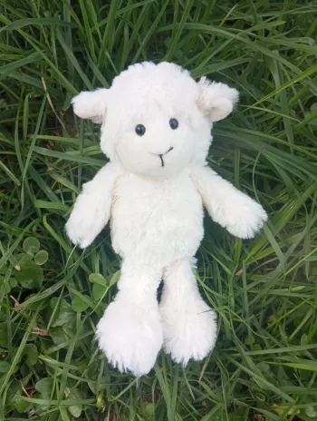 Peluche neuve mouton