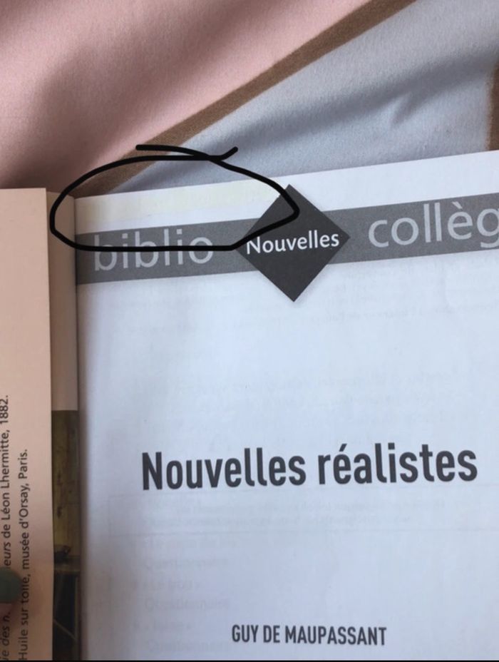 Nouvelles réalistes Maupassant - photo numéro 3