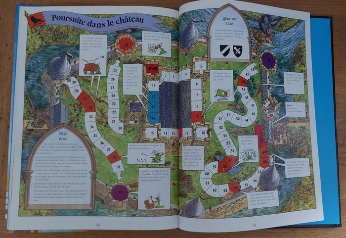L'histoire mystérieuse d'un Château Fort - Picolia - photo numéro 8