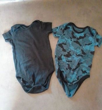 Lot Bodies