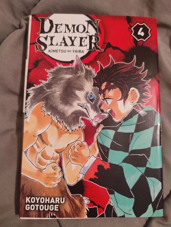 Démon slayers 4