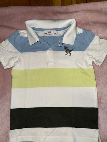 Polo dinosaures
