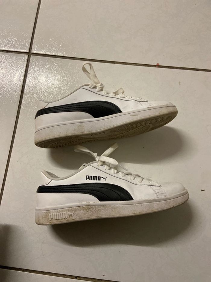 Basket puma