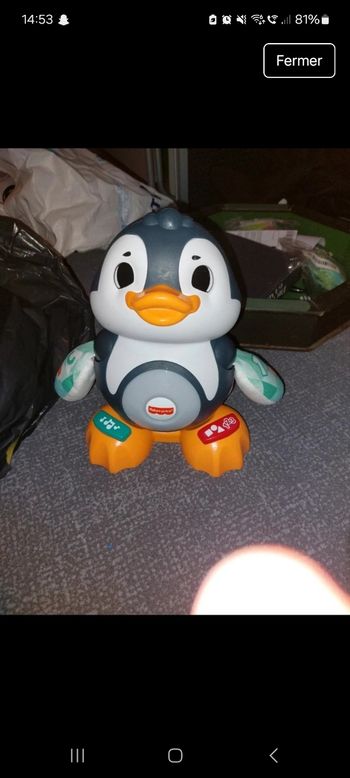 Valentin le pingouin