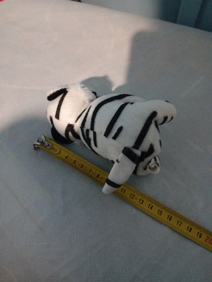 Tigre - photo numéro 2