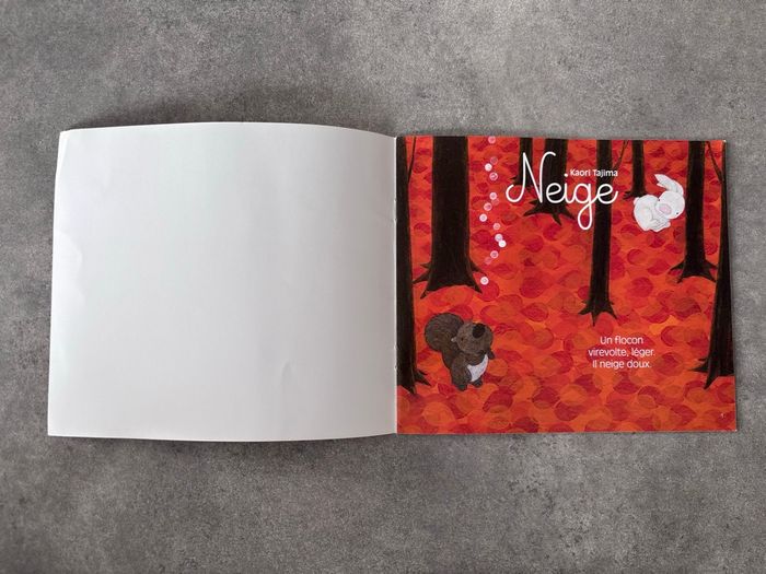 Livre « neige » - photo numéro 2