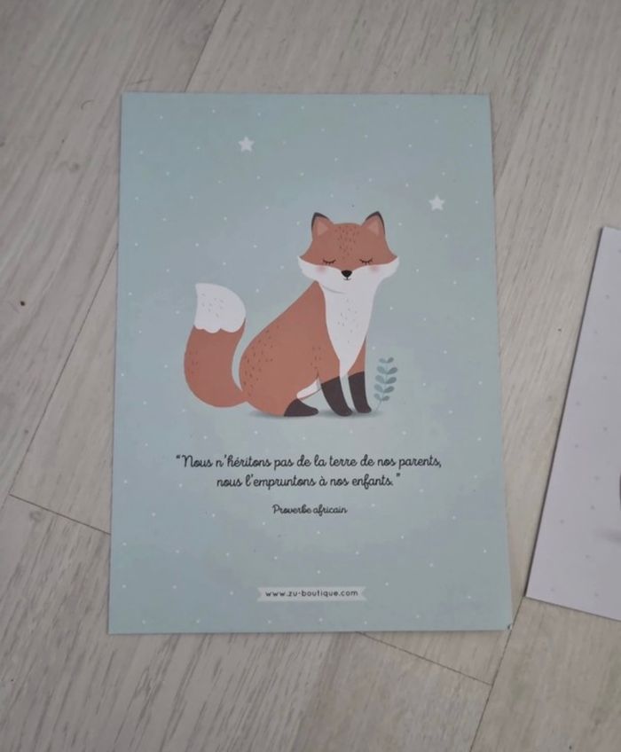 Lot de 2 cartes - photo numéro 2
