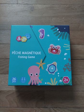 Pêche magnétique