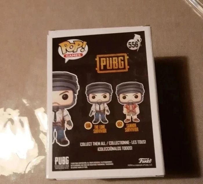 Pop Pubg - The lone survivor - photo numéro 2