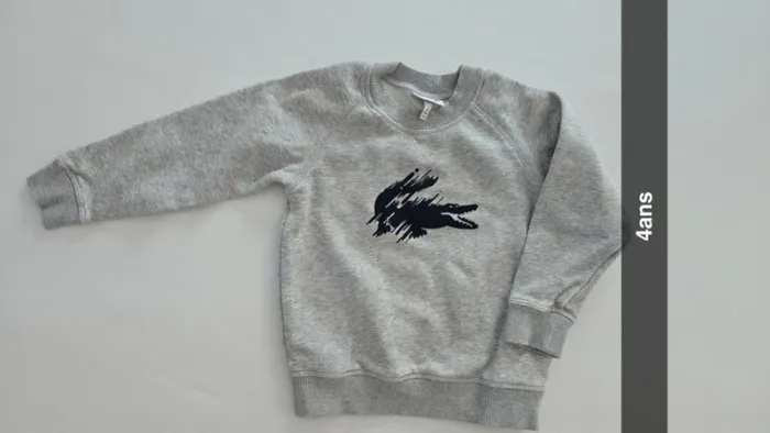 Sweat lacoste gris - photo numéro 2