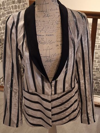 Magnifique blazer argenté et noir à rayures brillantes idéal pour les fêtes