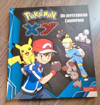 Livre "Un mystérieux champion"