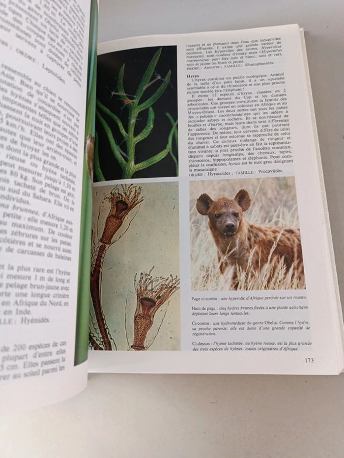 La nouvelle encyclopédie des animaux France loisirs édition 1980 - photo numéro 14