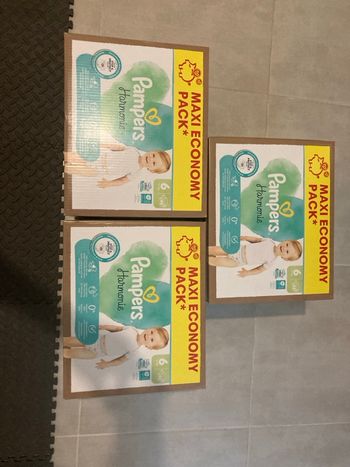 Lot de 3 cartons T6 harmonie 
