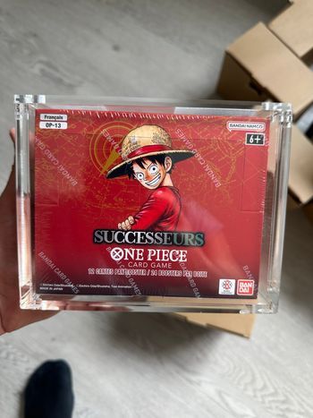 One Piece Protection Acrylique Display