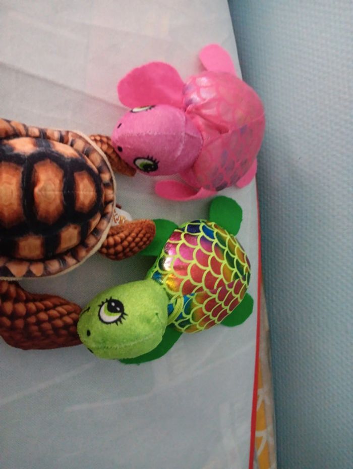 Tortues - photo numéro 3