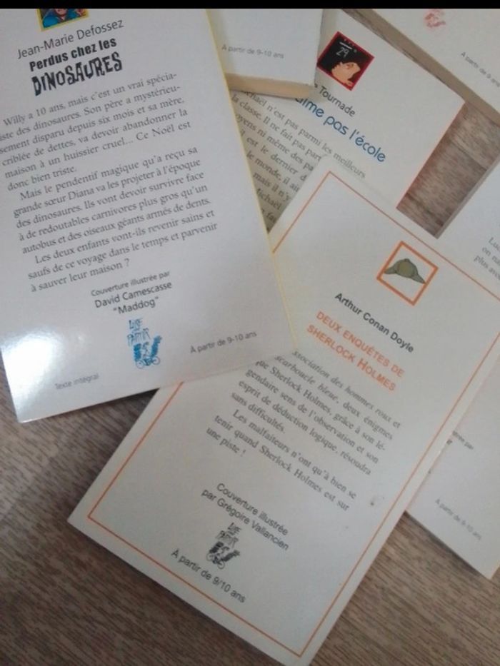 Lot 8 livres 9/10 ans - photo numéro 6