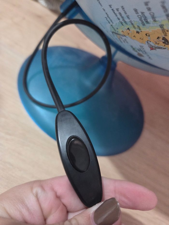 Mappemonde - photo numéro 8