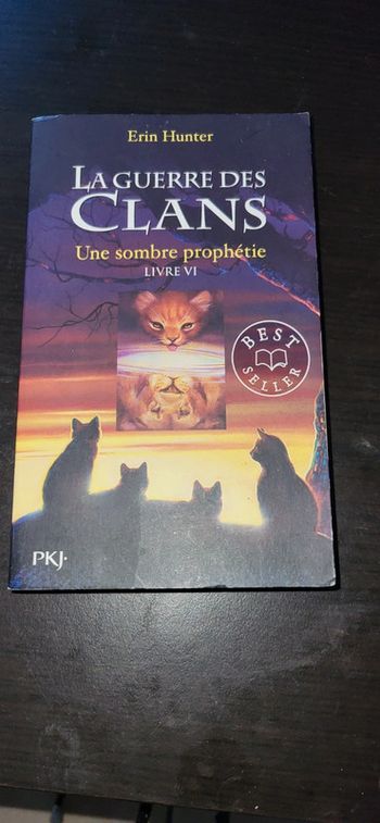 Livre la guerre des clans une sombre prophétie VI