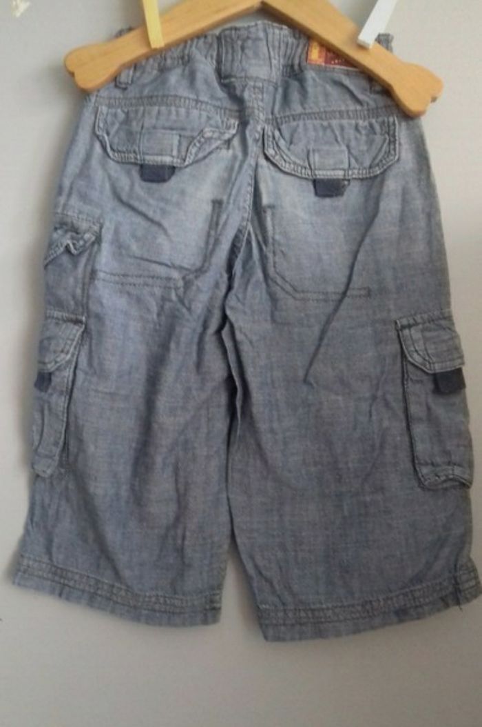 Bermuda sergent major - photo numéro 2