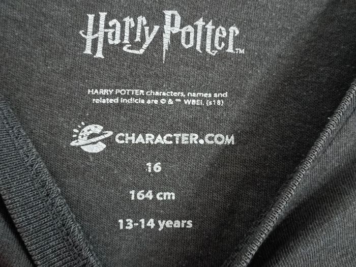 Tee-shirt Harry Potter Team Quidditch en 16 ans - photo numéro 3