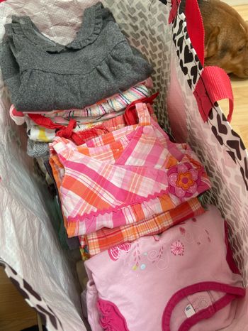 Lot vêtements bebe fille 0,3m