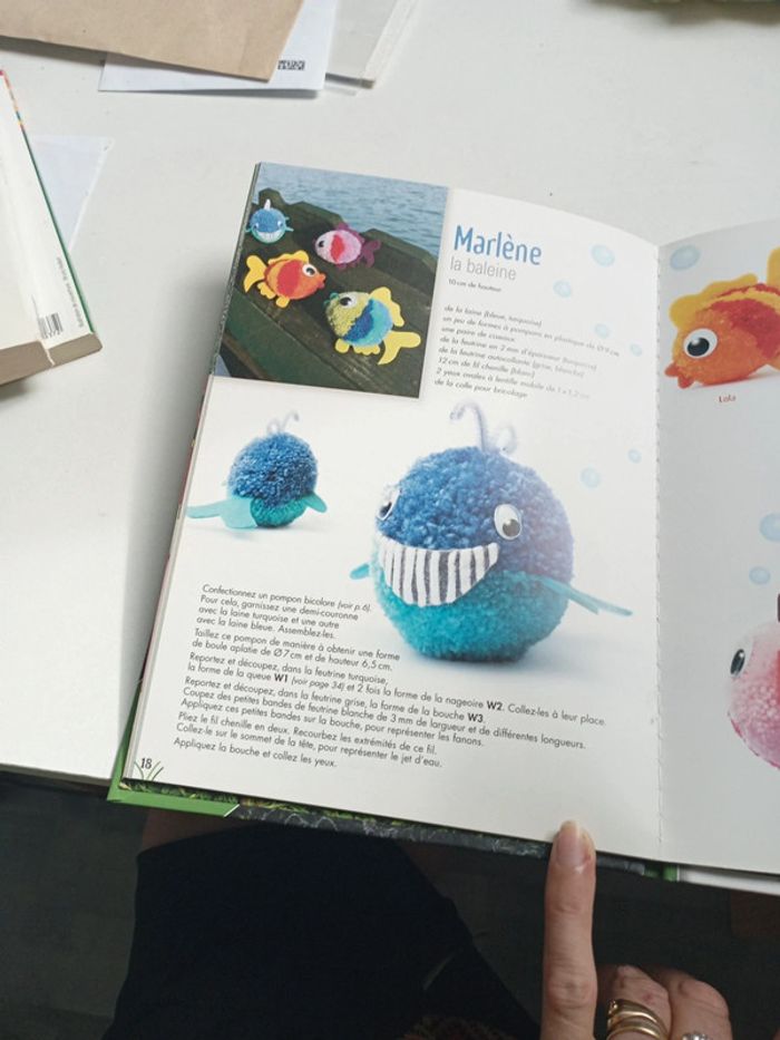 Livre pompons - photo numéro 3