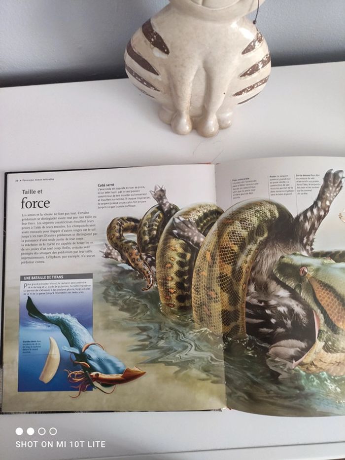 Les animaux prédateurs à la loupe - photo numéro 3