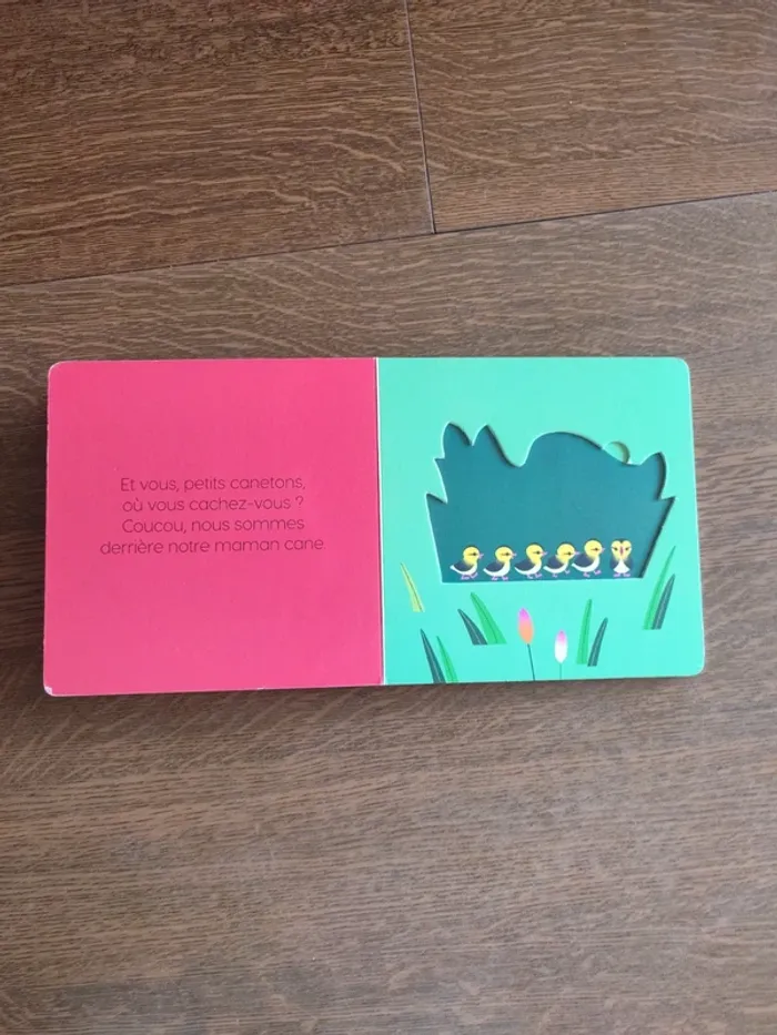 Livre qui se cache derrière maman - photo numéro 12