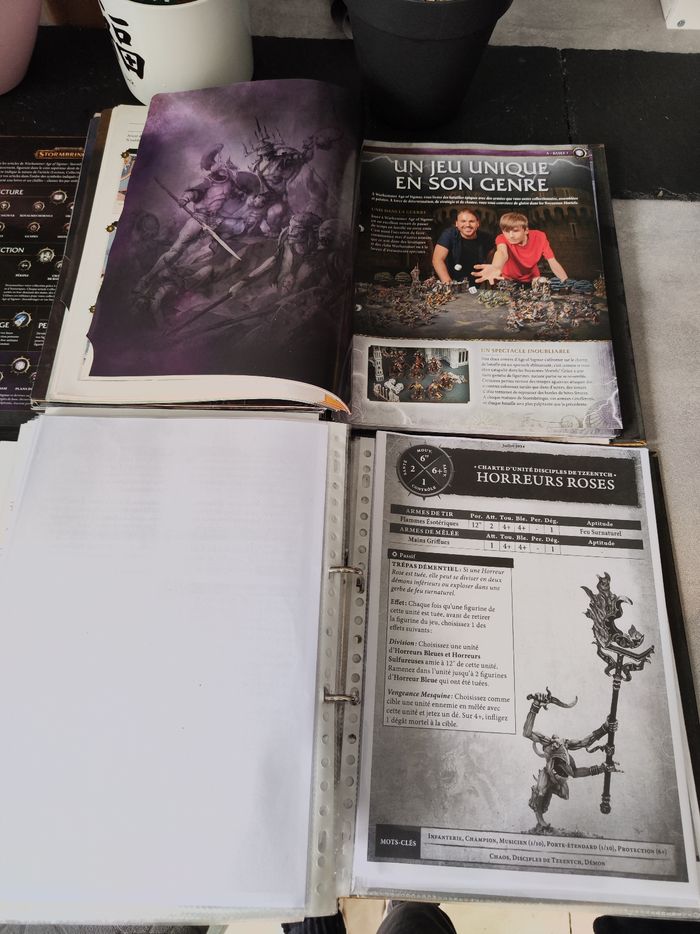 Lot de 2 classeurs Warhammer - photo numéro 9