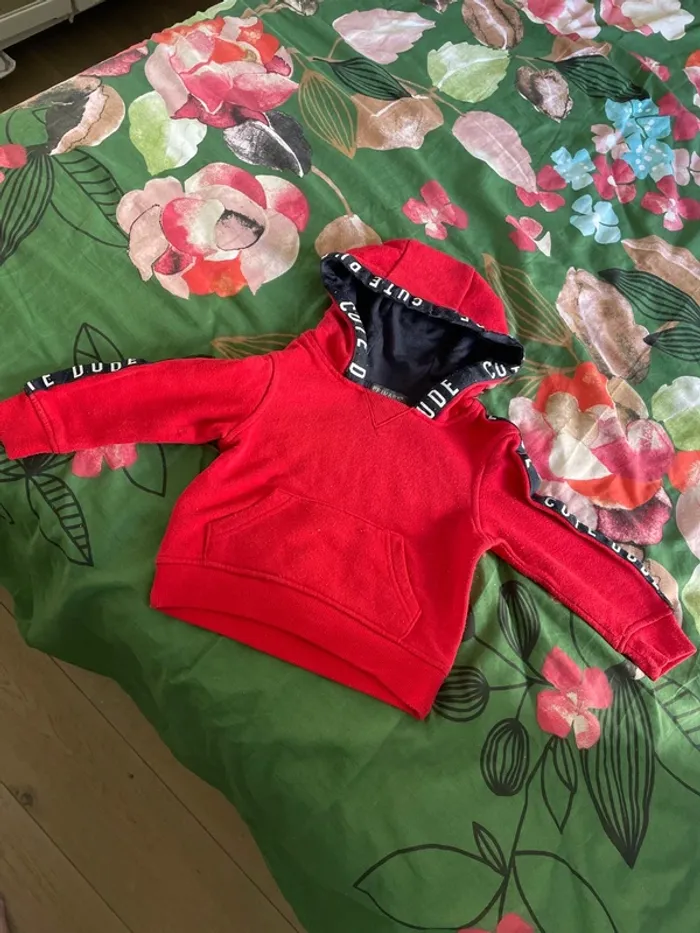 Pull capuche 18 mois