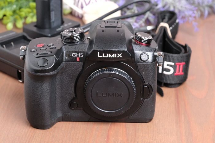 Panasonic Lumix DC-GH5 S 20.3 Mp Appareil Photo Numérique Haut Händler - photo numéro 6