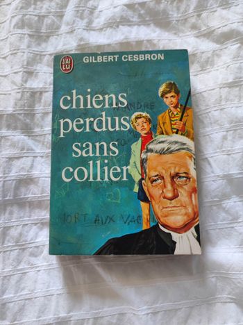 Chiens perdus sans collier 