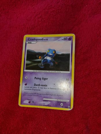 Carte pokemon