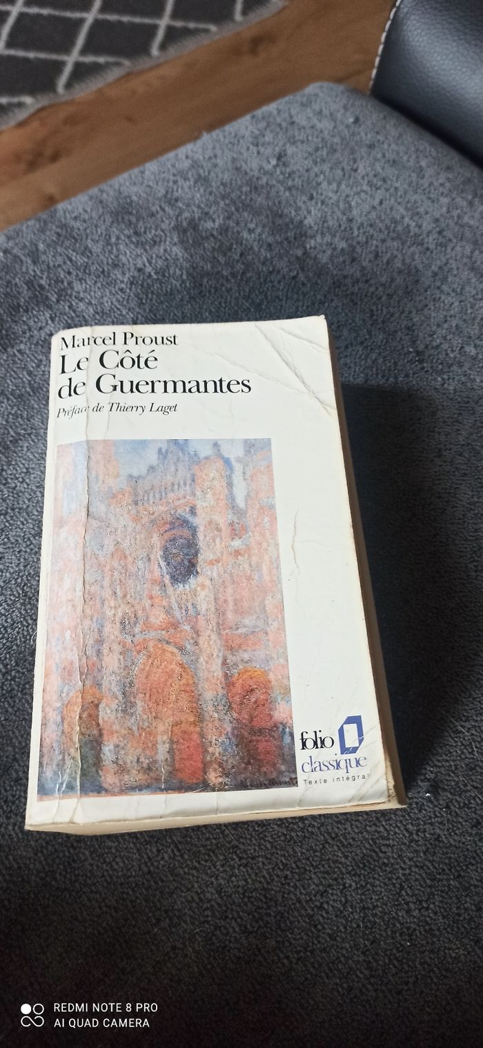 Livre le côté de guermantes
