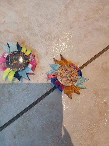 Pince cheveux créatrice Bnosy 