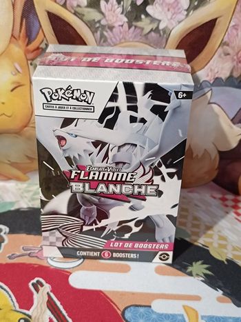  Bundle 6 Boosters EV10.5 Flamme blanche - FR