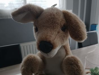 Peluche kangourou