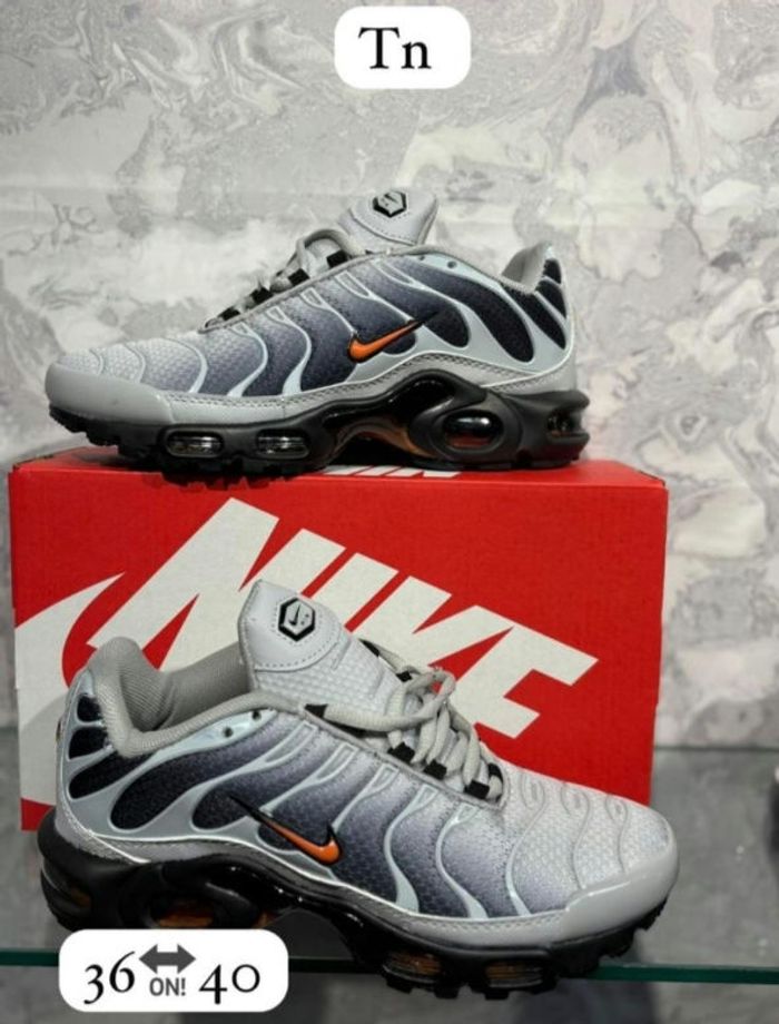 Tn plusieurs modèles - photo numéro 4