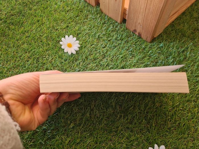 L'amie prodigieuse- Elena Ferrante (tome 1) - photo numéro 5