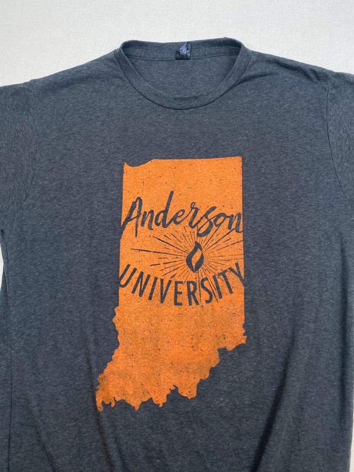 T-shirt imprimé sport USA, homme, M, été, Gris, , collège, université, Anderson - photo numéro 2