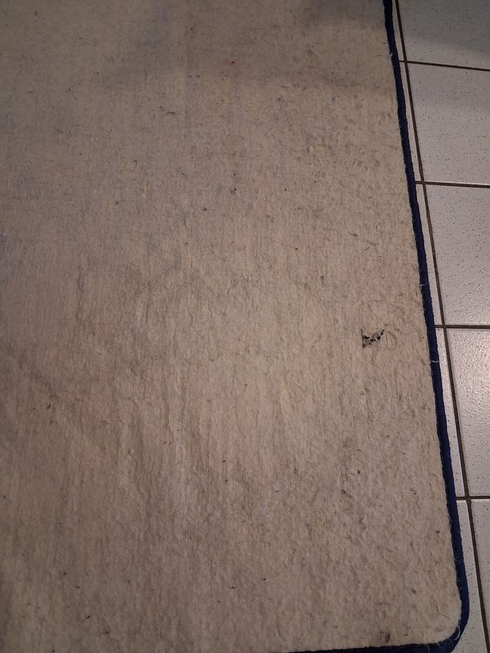 Star wars - photo numéro 5