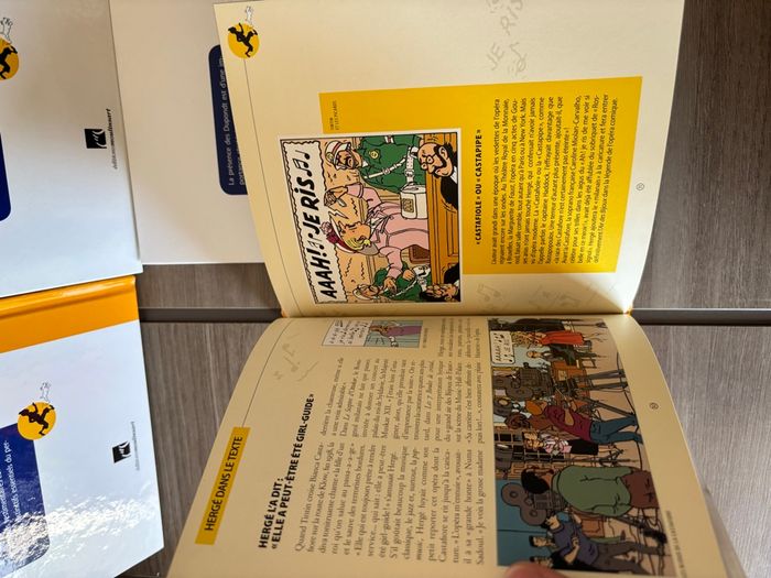 Livres Figurines Tintin - photo numéro 6