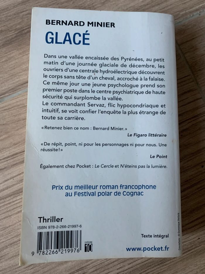 Livre Bernard minier glace thriller - photo numéro 2
