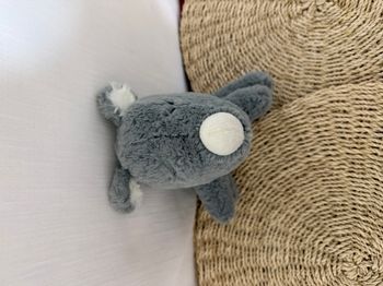 doudou rhinocéros All over the world SOSTRENE GRENES