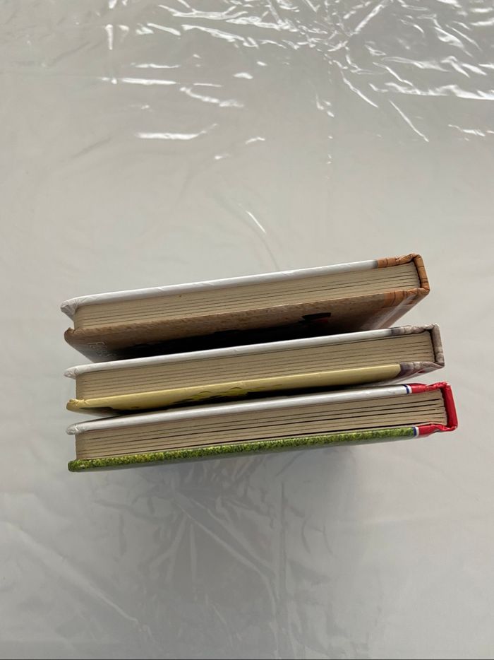 Livres petit héros petit champion - photo numéro 6